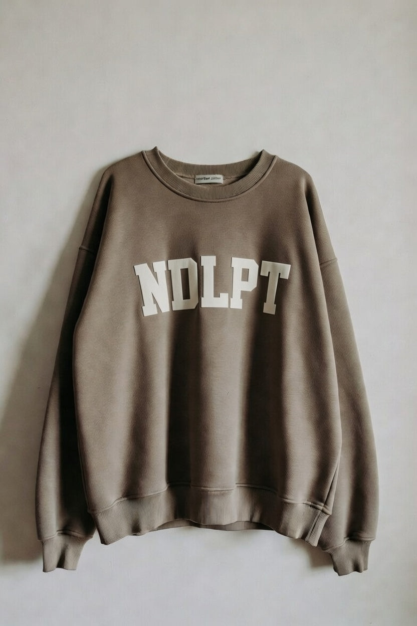 NDLPT applique COMFORT COLORS sweatshirt