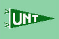 DIGITAL DOWNLOAD: College Pennant UNT